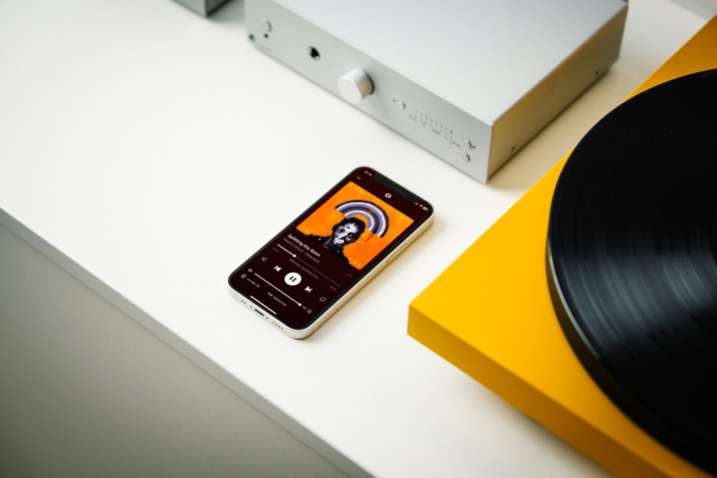 04 Pro-Ject Uni Box S3 в РФ.jpg