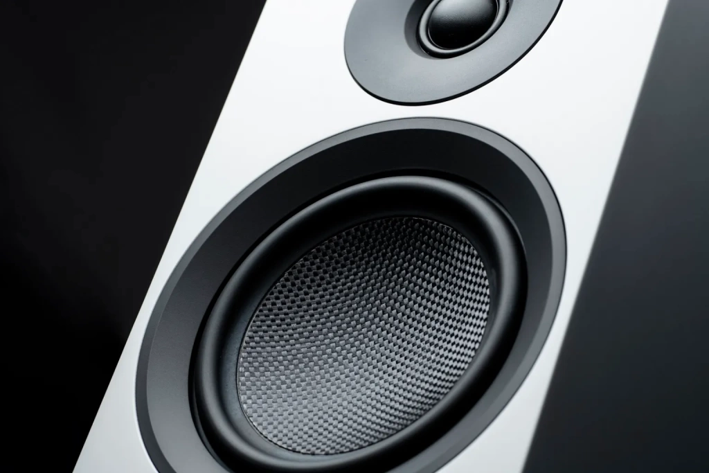 01 Pro-Ject Speaker Box 10 E Carbon в РФ (main).jpg