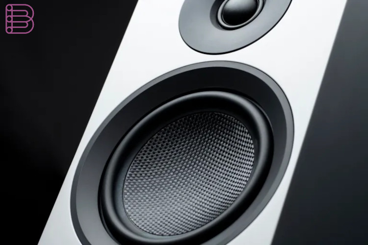 Pro-Ject Speaker Box 10 E Carbon