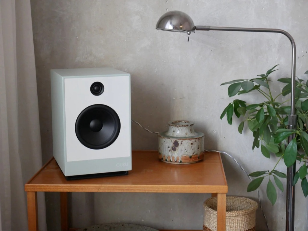 03 Guru 12_Guru 28 RB-Acoustique & Haute Fidelite.jpg