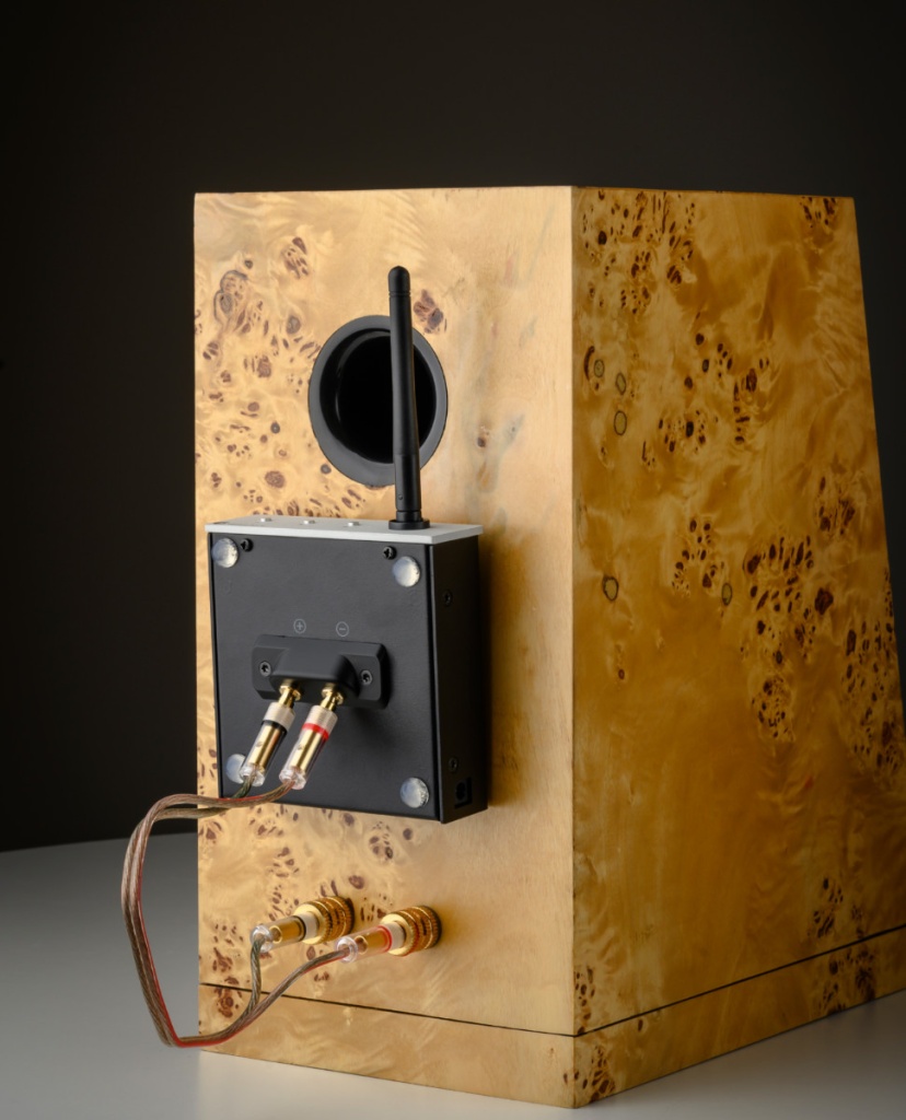 02 Pro-Ject Wireless Box E New.jpg